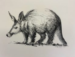 Aardvark