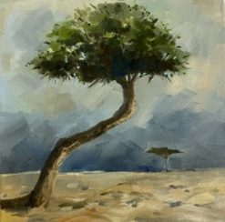 Kalahari trees