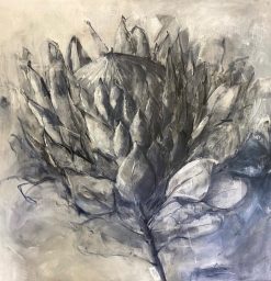 Protea