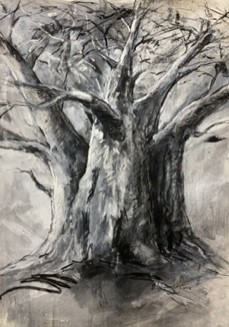 Baobab