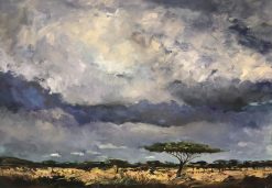 Under afrcian skies
