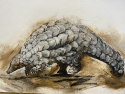 Peter Pangolin