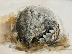 Paul pangolin