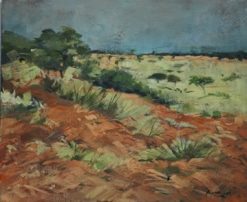 Kalahari soil
