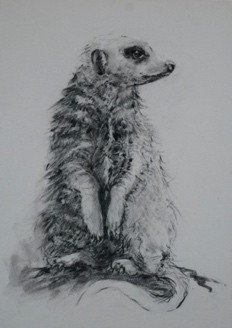 Tant Stienie